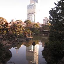 あべのハルカス 慶沢園より