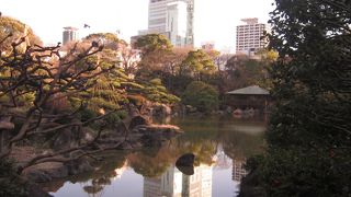 新しい大阪のランドマーク？