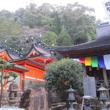 隣り合う青岸渡寺と那智大社