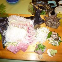 お刺身おいしかったです！