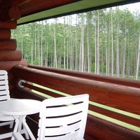 バルコニーからキツネが見えました