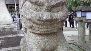 キュートな狛犬！