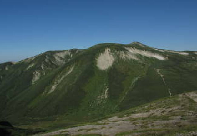 登山道がまっすぐ