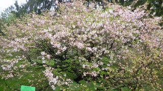 大都会の真ん中で、沢山の花に囲まれる心地よさ