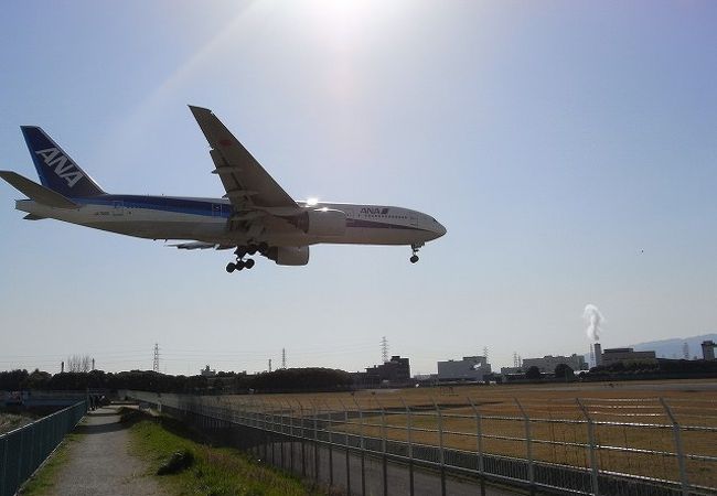 千里川土手