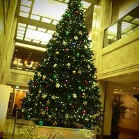 クリスマスシーズンのロビーのツリーは大きい！