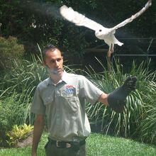 バードショーは客席の間近に鳥が飛んできて結構スリリング。