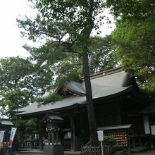 前鳥神社社殿と幸せの松