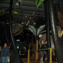 このようにNZの世界を探検出来ます。