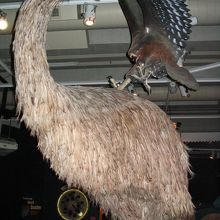 これ以外の展示も迫力満点の部屋です。