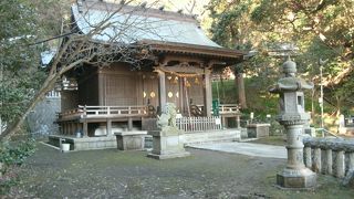 平日は静か、訪れる観光客は？