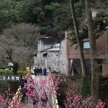 記念美術館裏側の梅園橋 (うめぞのばし)