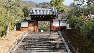 椿の季節に来たい場所