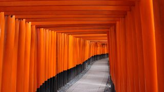 「日本の美」の景観の一つではないでしょうか？