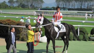 京阪淀駅と直結しています
