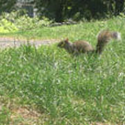 公園でマッタリ。リスにバッタリ。