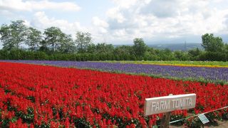 北海道らしい景色が期待できる場所☆