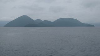 鹿が間近で見られます☆