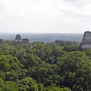 ４号神殿に登ると絶景が！