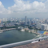 屋上プールからの眺め