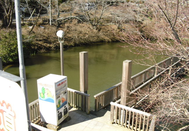 奥山公園