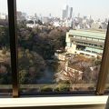 部屋から眺める日本庭園は最高です