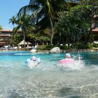 適度な大きさのプール