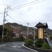 温泉に浸かり大広間でくつろぎ河津桜も観れるので最高です