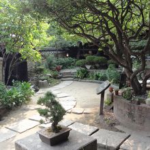 庭や建物を眺めながらまったり‥