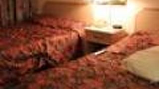 ブルーステム ホテル トーランス ロサンゼルス アセンド コレクション ホテル