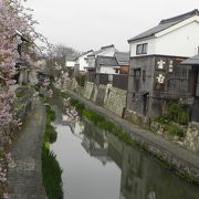 桜と堀と、歴史の中へのサイクリング