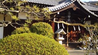 道後温泉の守護神であり、本館の絶景スポット