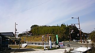 きれいに整備されています