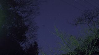 冬の星空・・・ステキです！！