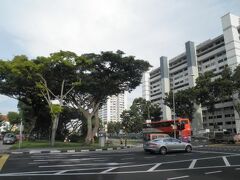 ベテル ボックス バックパッカーズ ホステル 写真