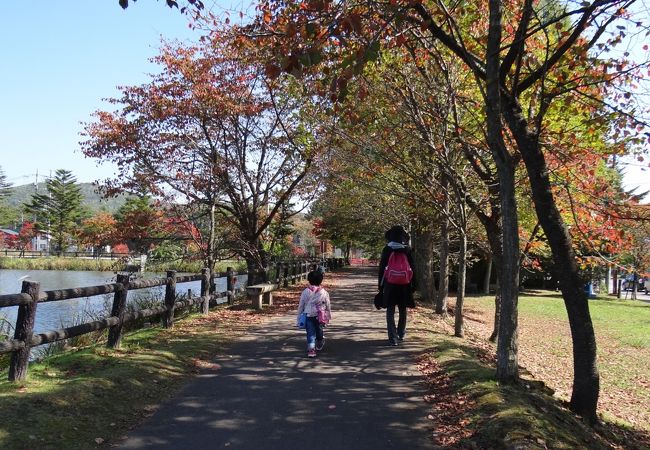 矢ヶ崎公園