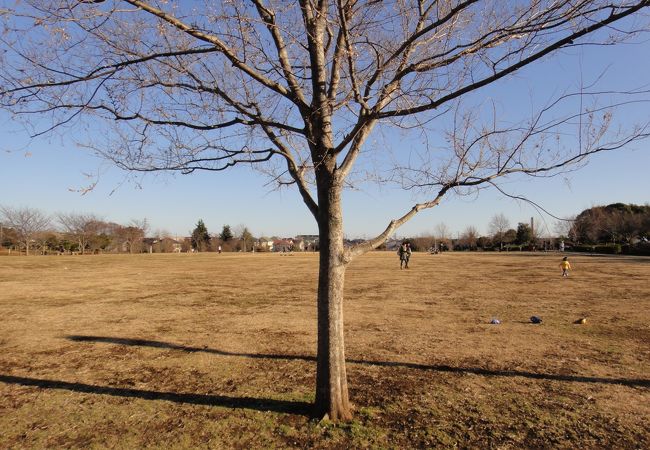 柏の中原ふれあい防災公園