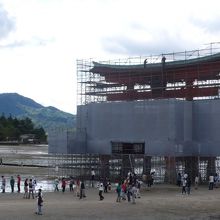 鳥居が修復中だった…