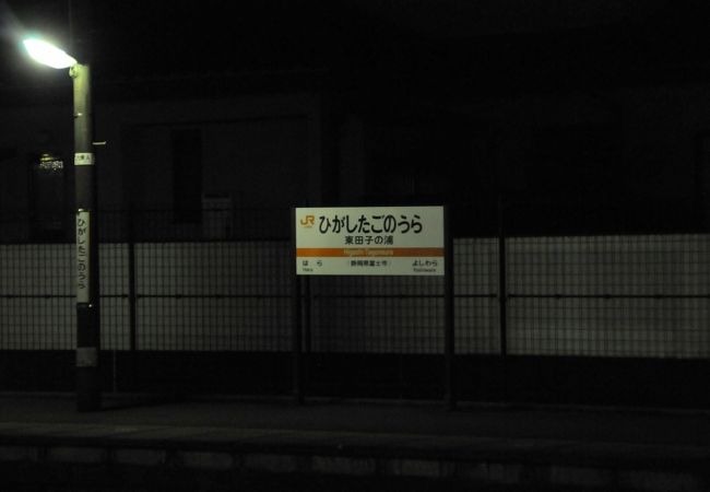 東田子の浦駅 クチコミ アクセス 営業時間 富士 フォートラベル