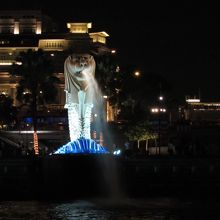 クルーズ船より