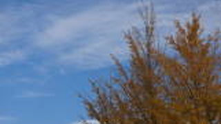 秩父漫遊きっぷがお得