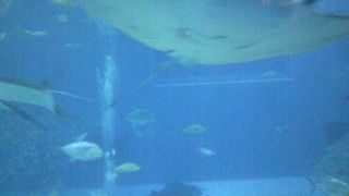 1日では見て回れない壮大さ。また訪れたい場所。