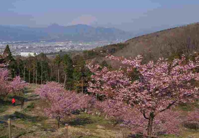 大井町農村公園