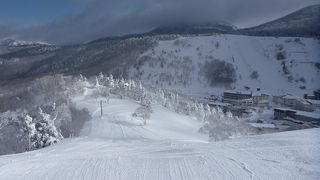 熊の湯スキー場（志賀高原）