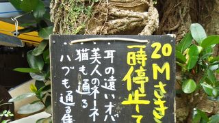 ビーチもいいけど集落を散策するのも楽しい！