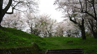 お花見が楽しめます♪