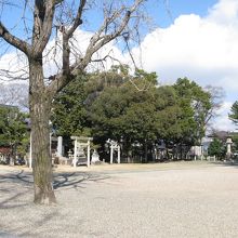 広い境内・たくさんの神社