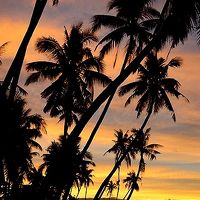 ホテルから西方向に歩いて行ったビーチで見た夕日がきれい。