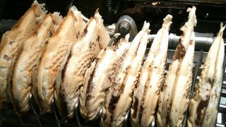 ここのたい焼きは美味しいです