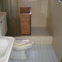 浴糟は桧だが西洋式の浴室